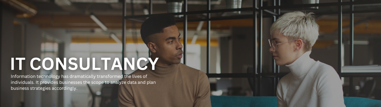 IT Consultancy